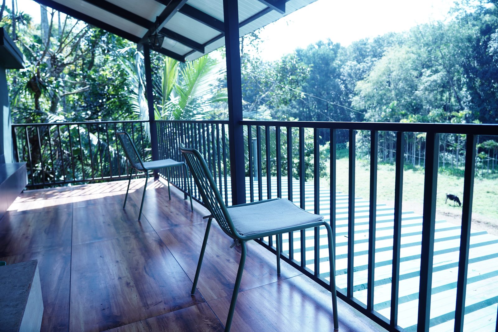 Wooden balcony with a cane chair looking out over the trees