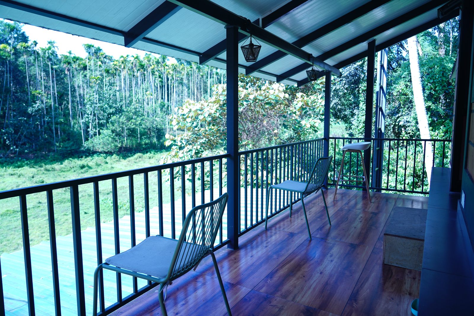 Long covered balcony with a black railing above the areca grove