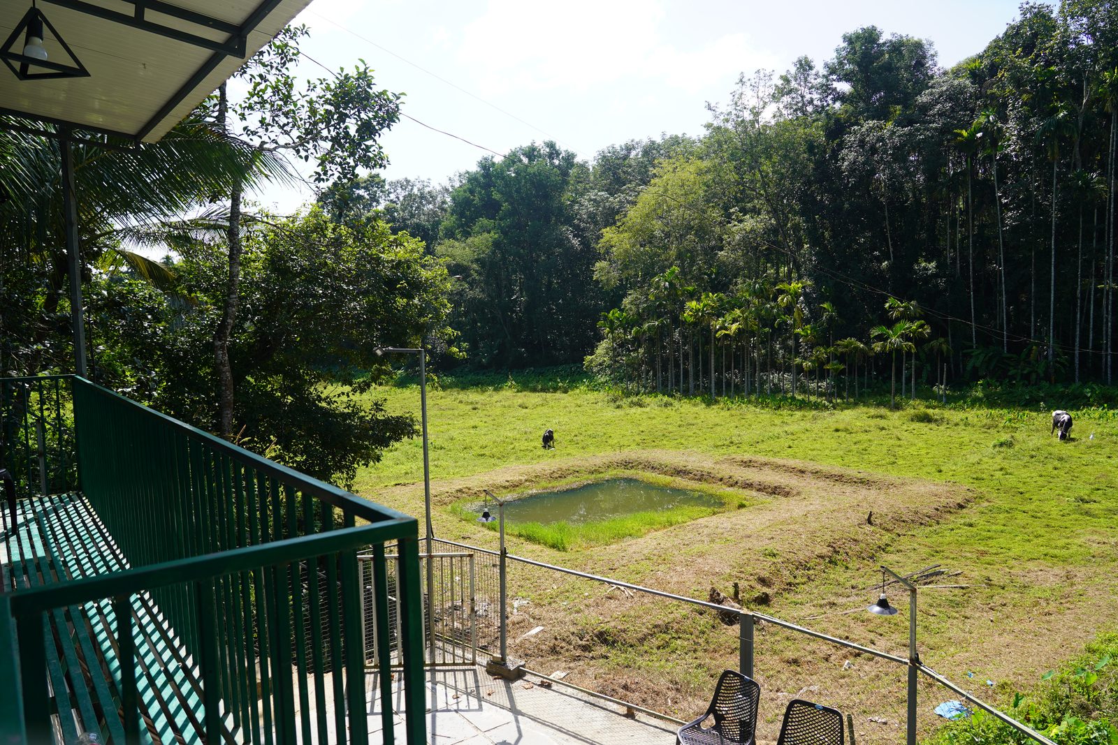 Green railing on the balcony overlooking a grass field, a small pond and areca trees
