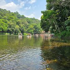 Boats on Pookode Lake surrounded by forest